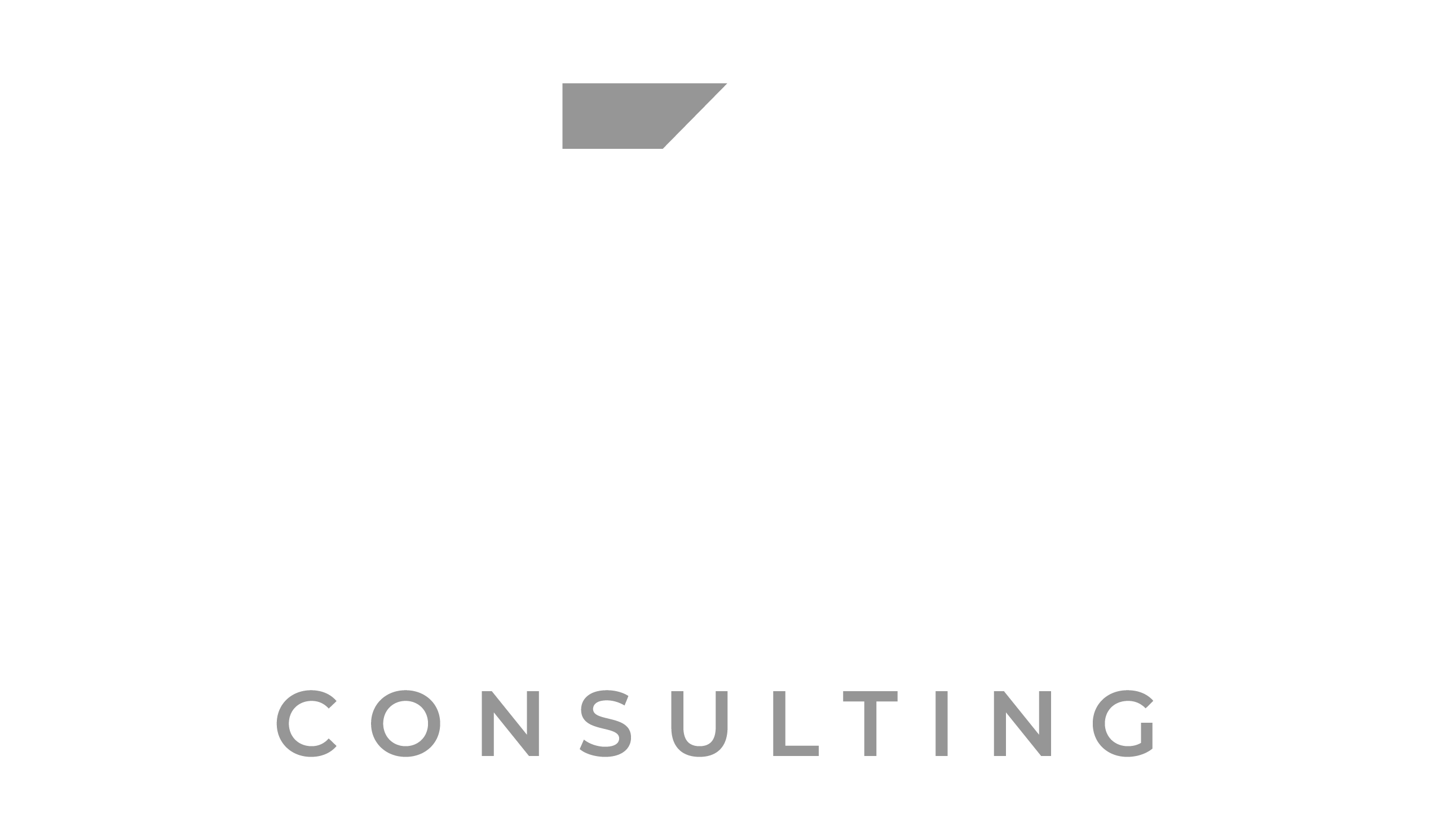 Toumana Consulting: Data-Driven Marketing and Analytics